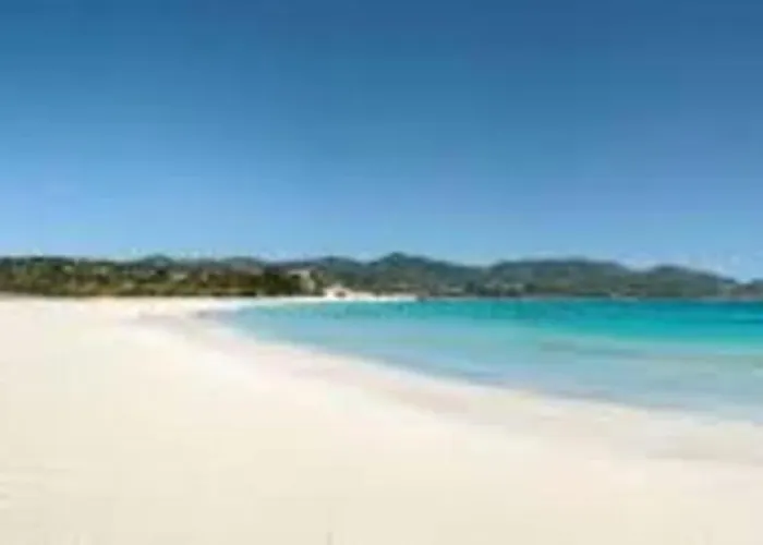 Mia 维拉西米乌斯